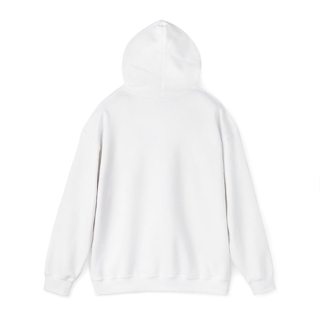 DioryLuxe Soft Touch Hoodie