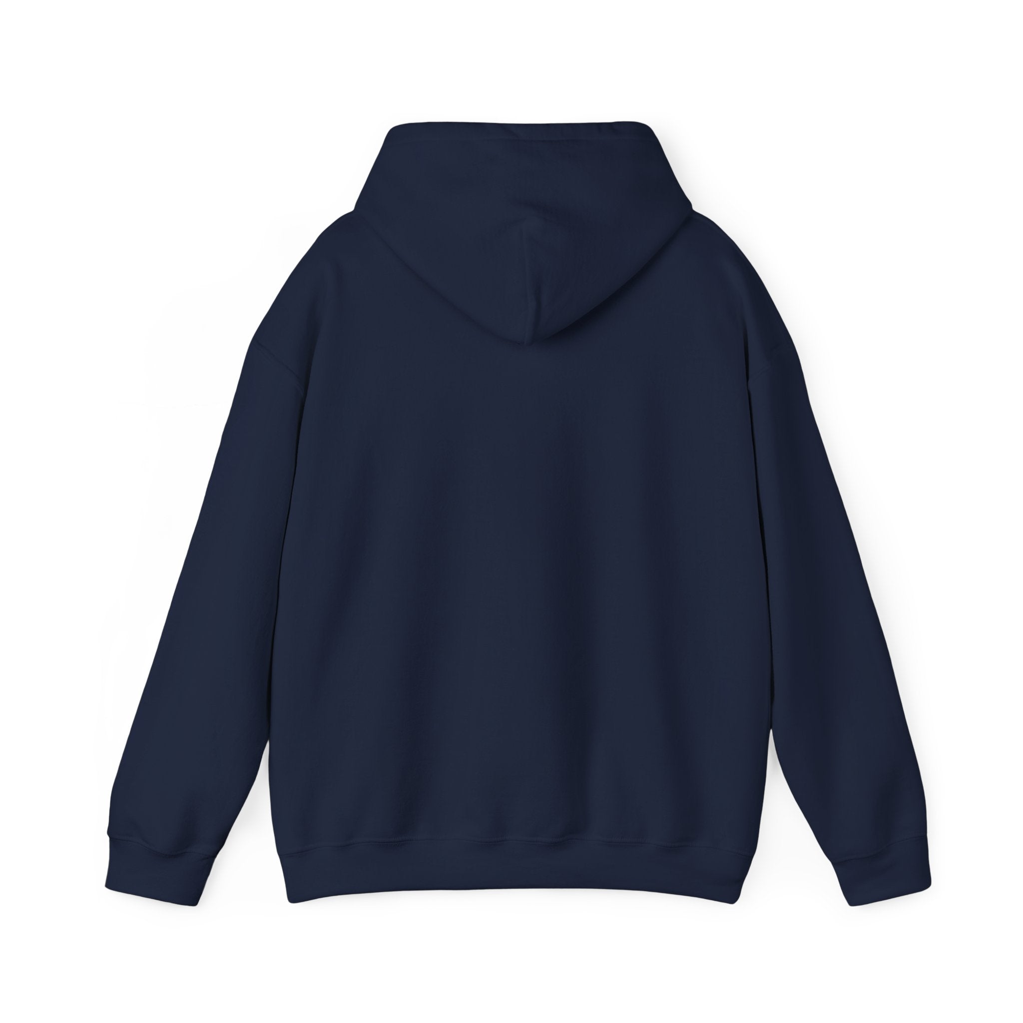 DioryLuxe Soft Touch Hoodie