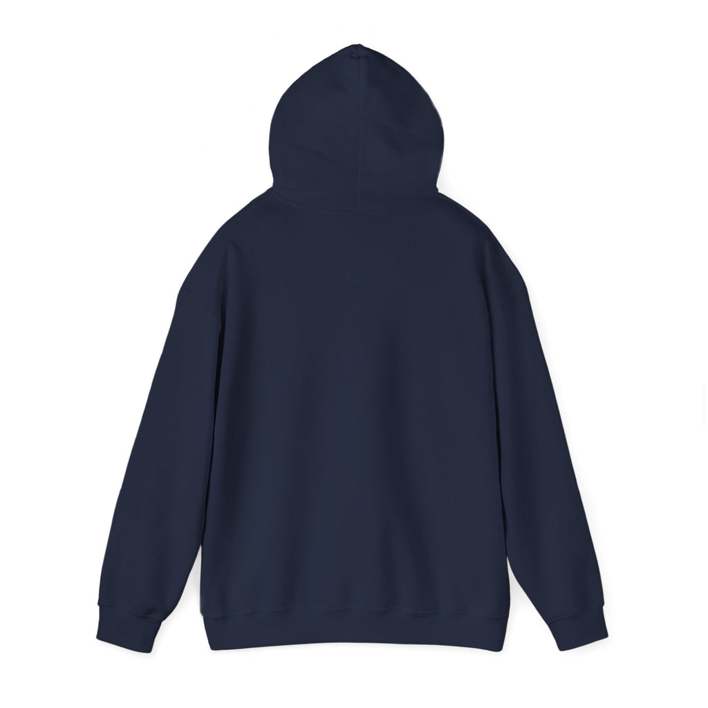 DioryLuxe Soft Touch Hoodie