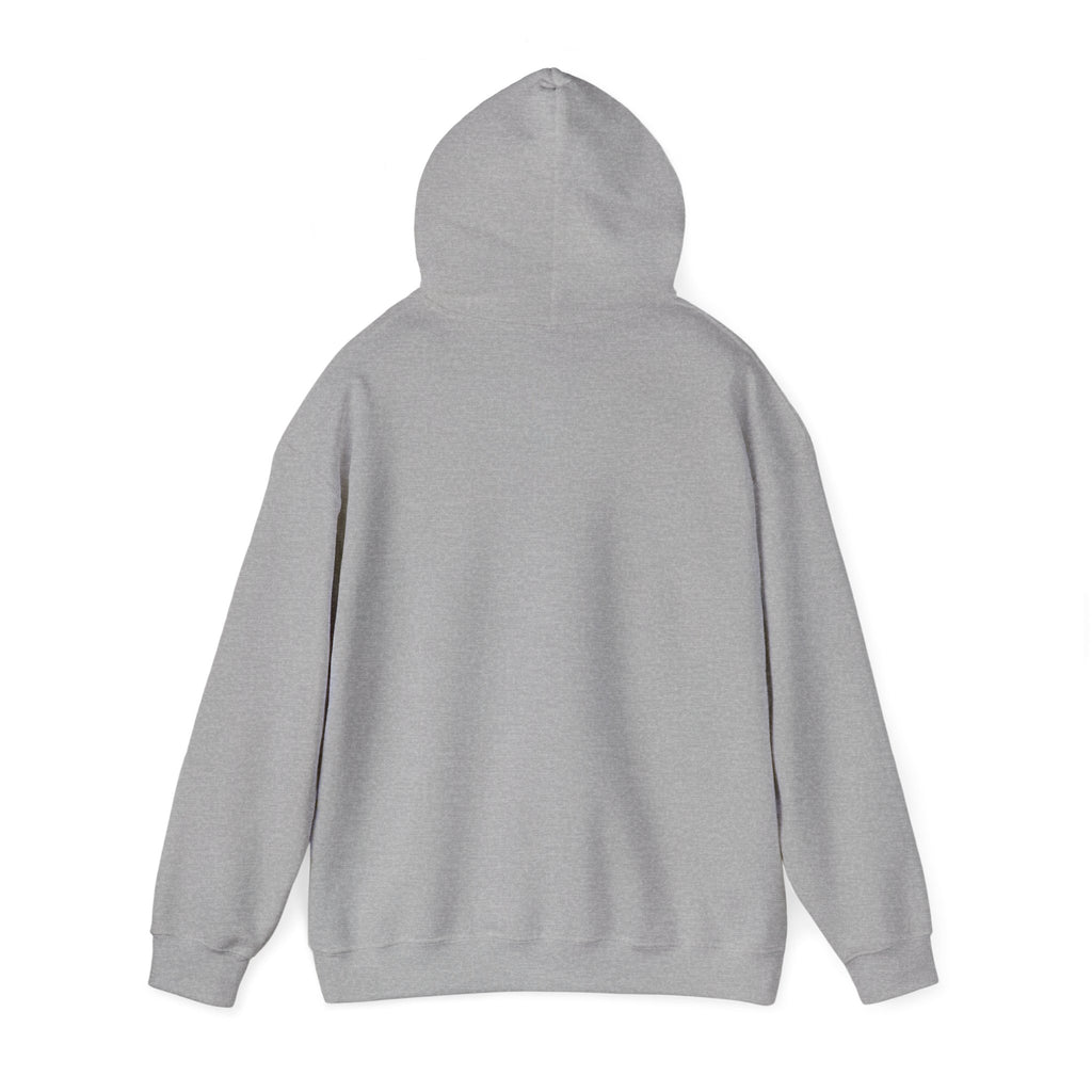 DioryLuxe Soft Touch Hoodie