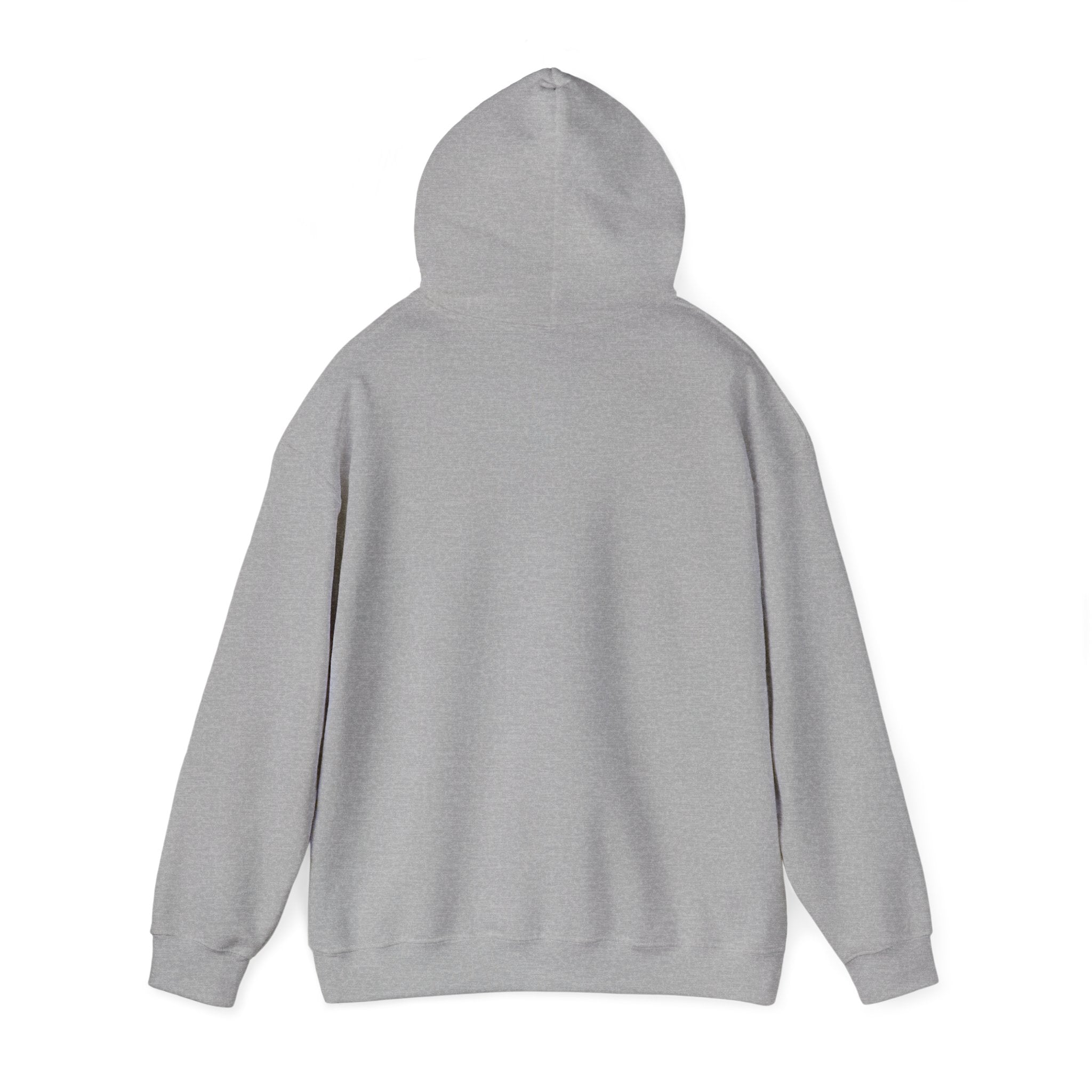 DioryLuxe Soft Touch Hoodie