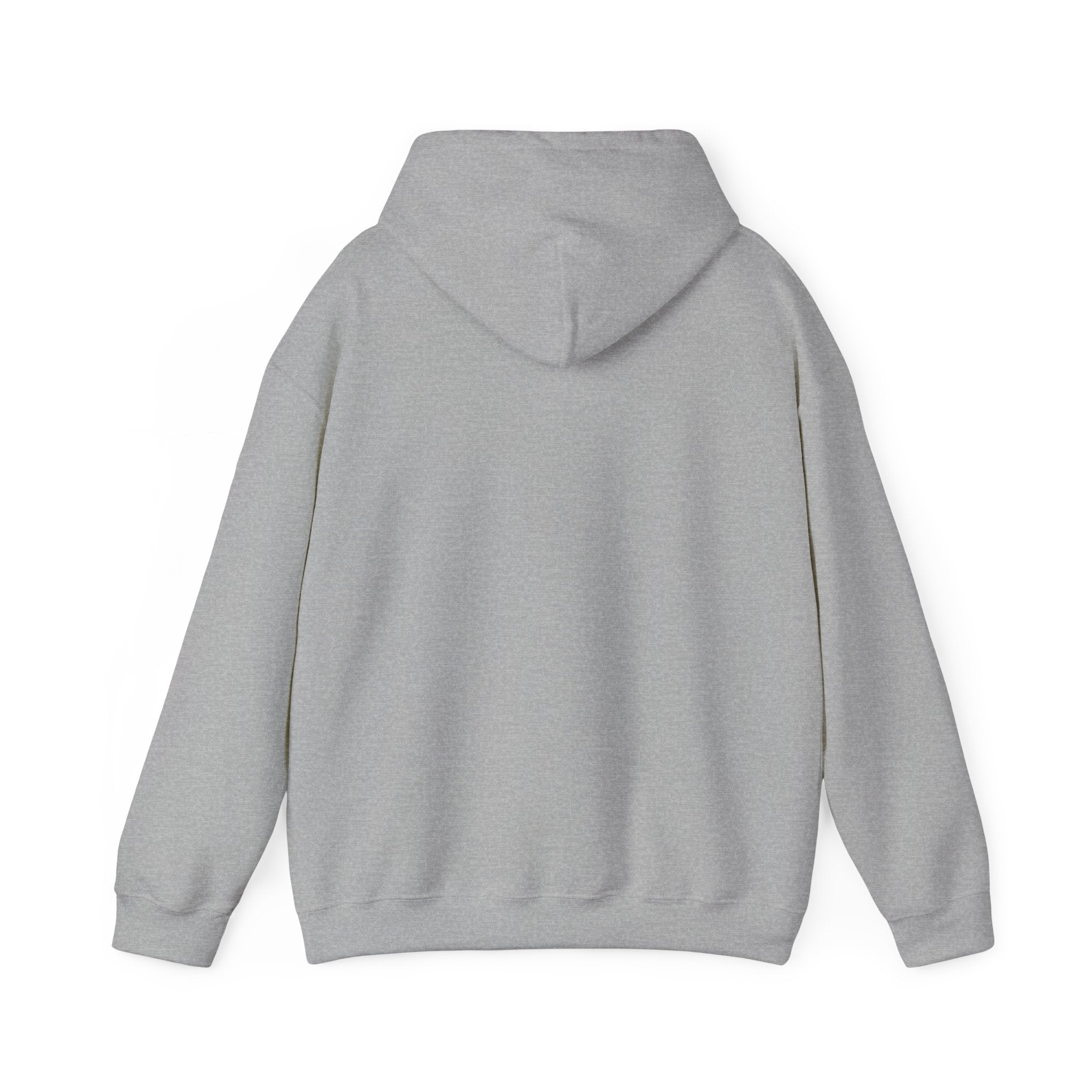 DioryLuxe Soft Touch Hoodie
